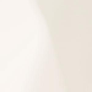 Beige (RAL1013)