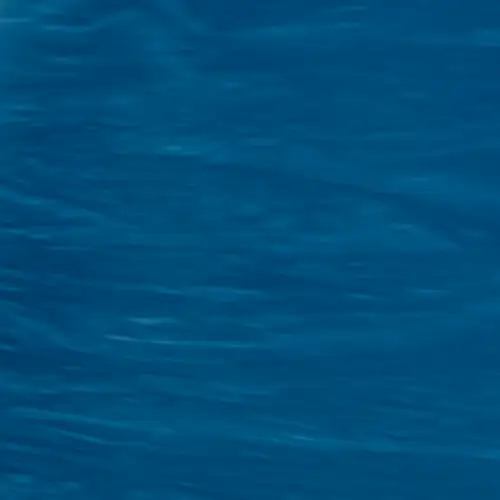 Ocean